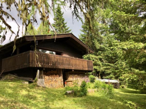 Günther's Almhüttn Arriach